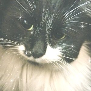 Meet your Posher, Yee